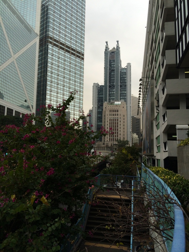 HK City 5